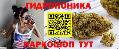 прущие крисы Партизанск
