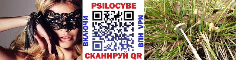 Псилоцибиновые грибы GOLDEN TEACHER  цена наркотик  Усинск 